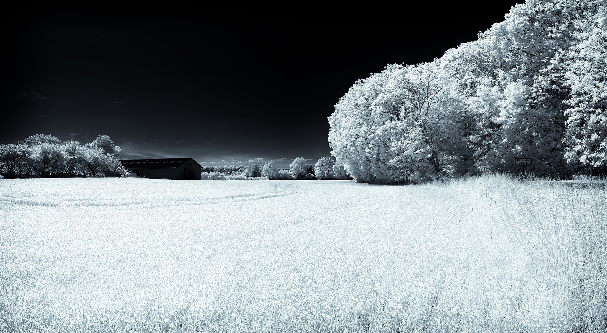 Quiet Beyond