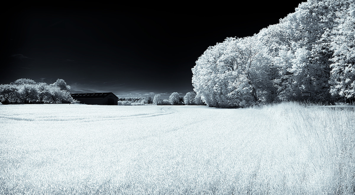 Quiet Beyond