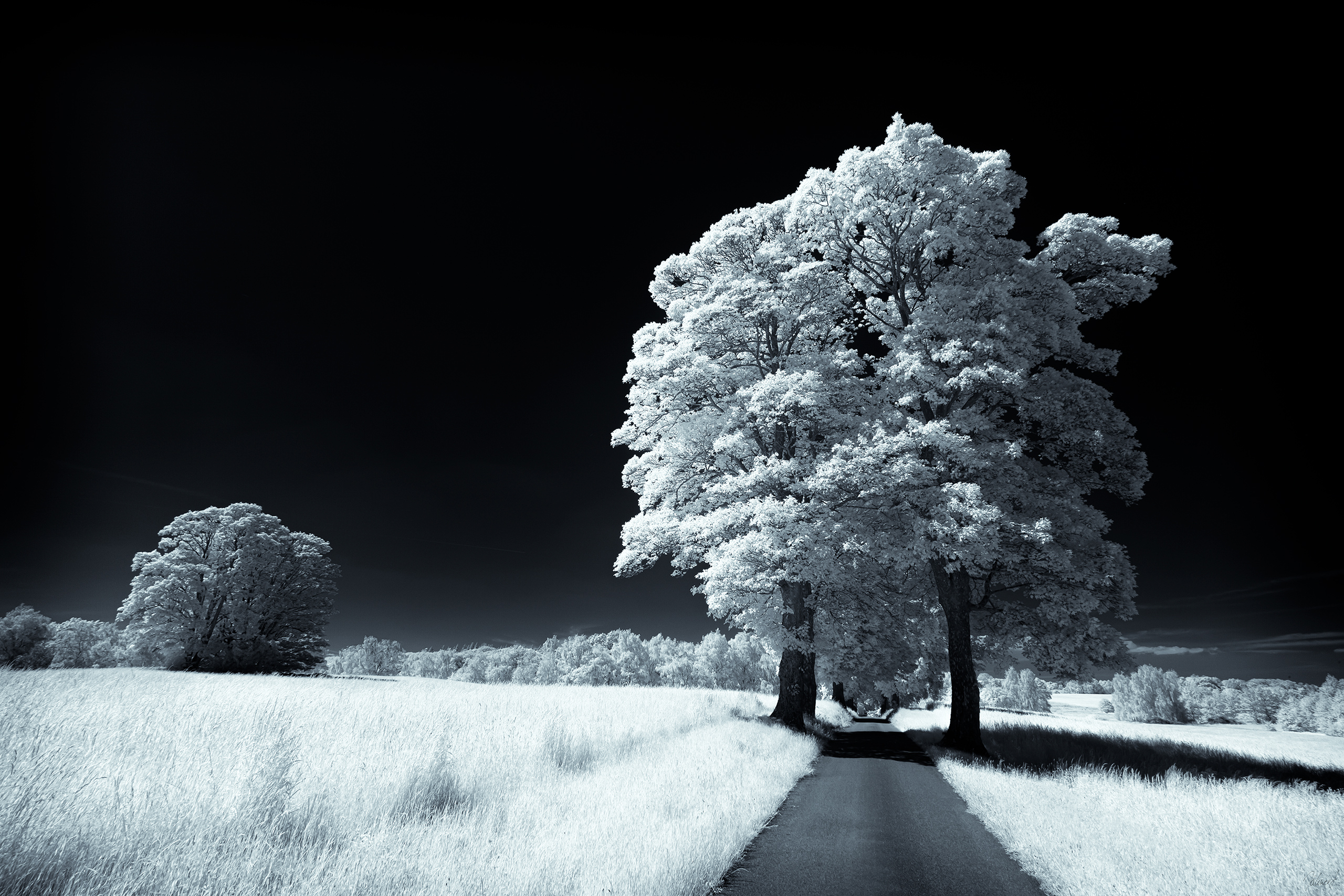 The Way Through