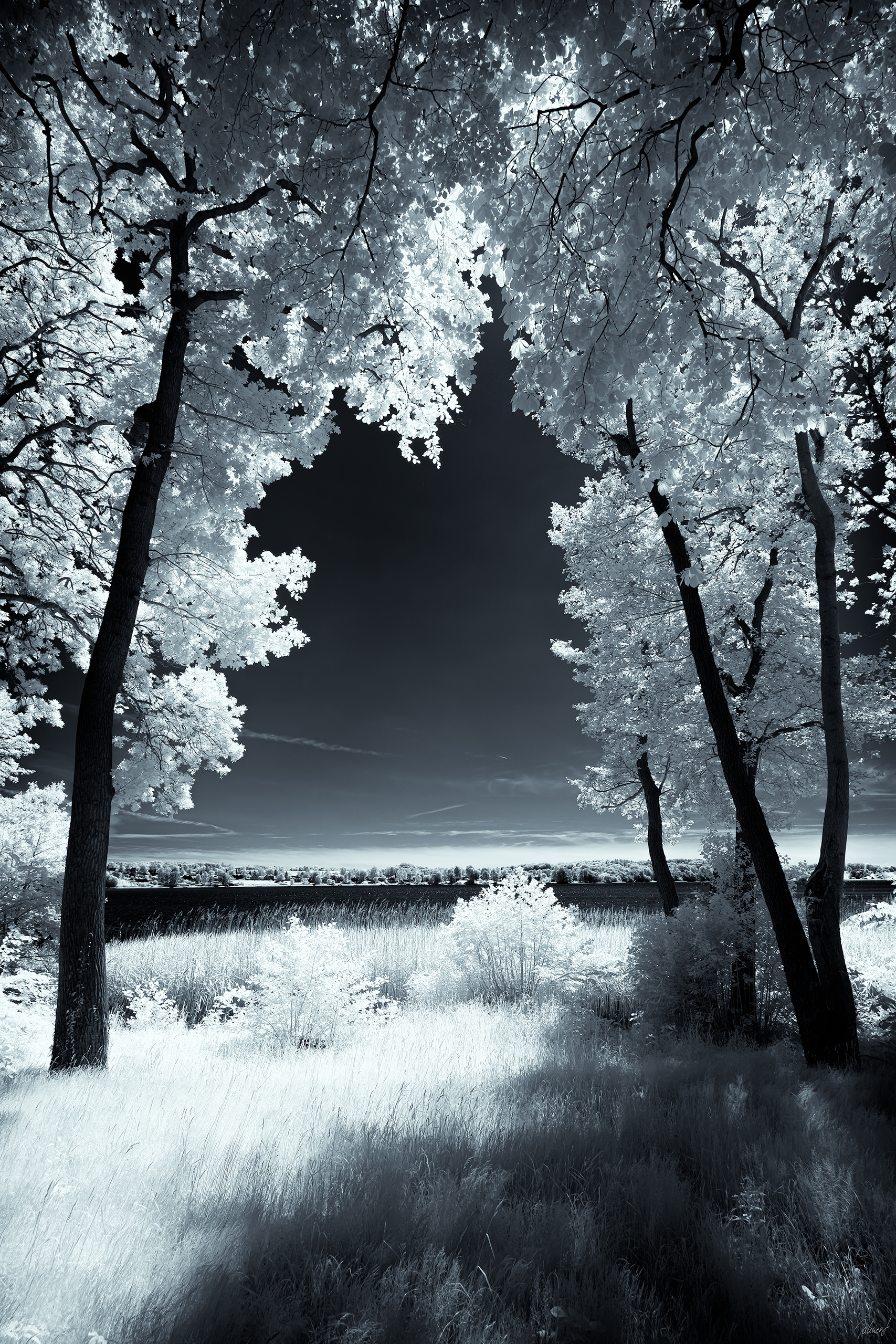 Framed IV.
