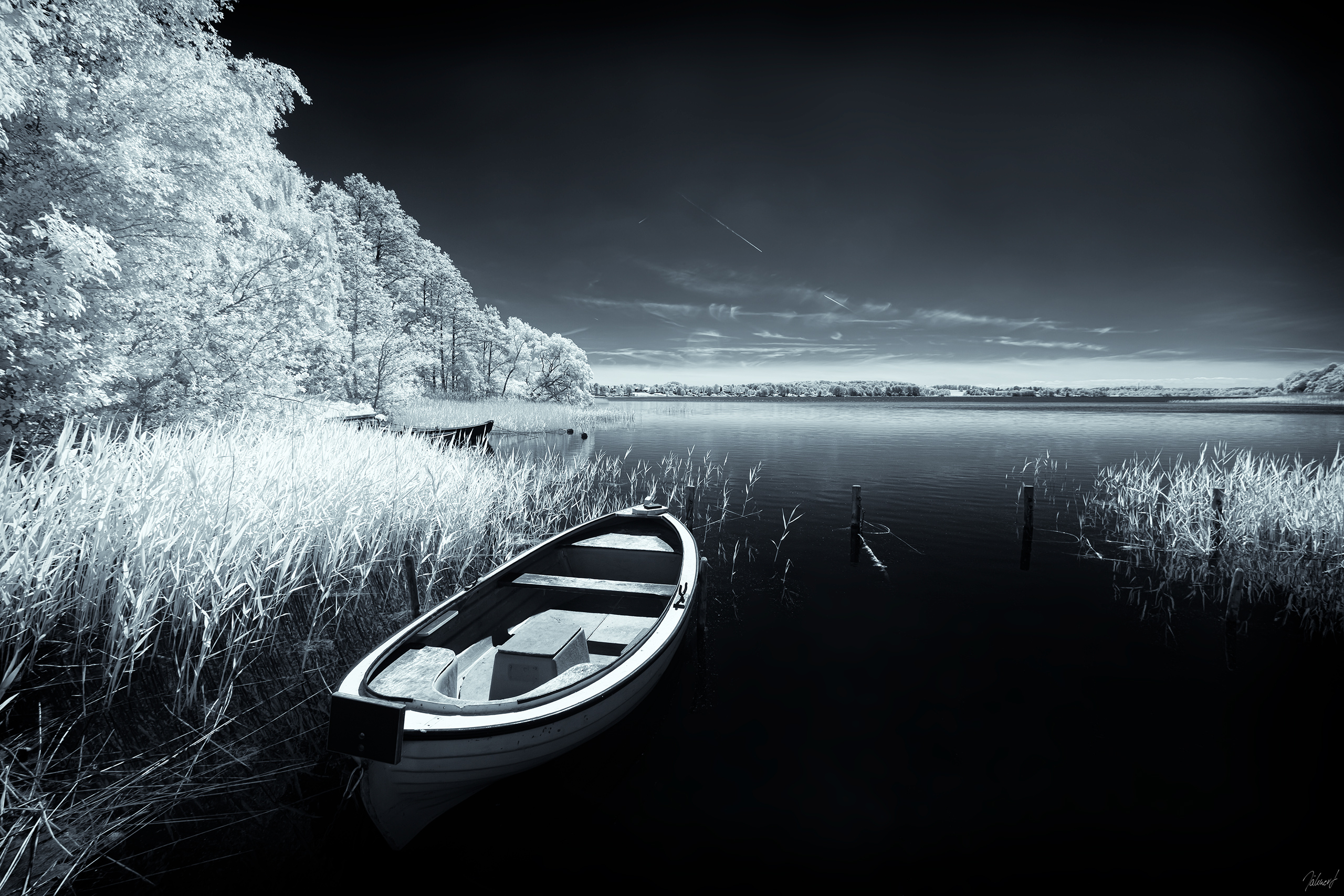 Far Shore I.