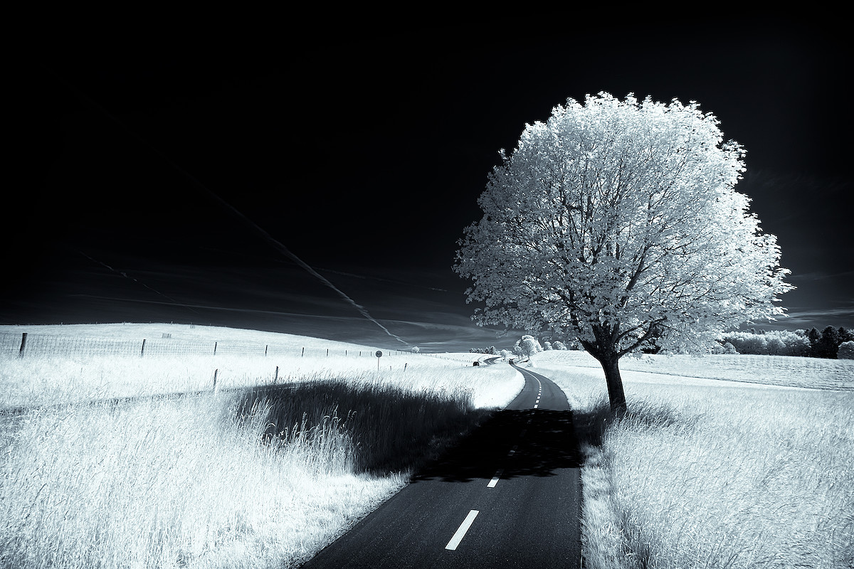 Ahead II.
