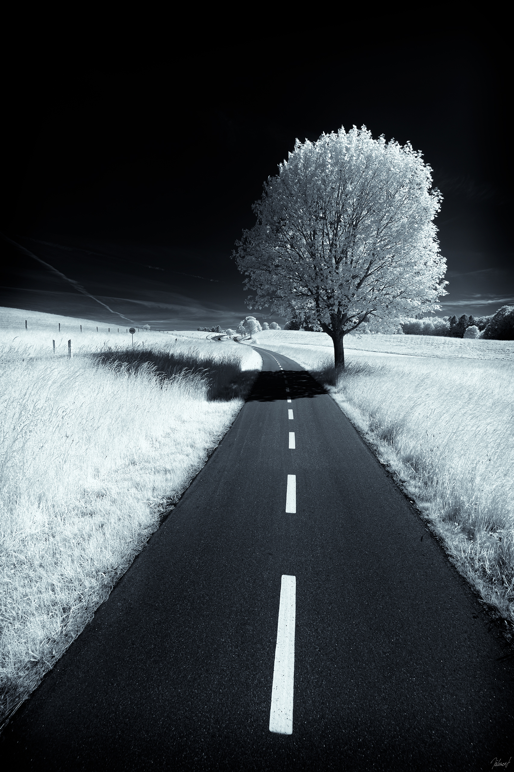 Ahead I.