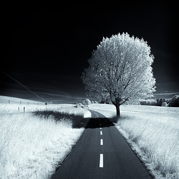 Between Light and Shadow